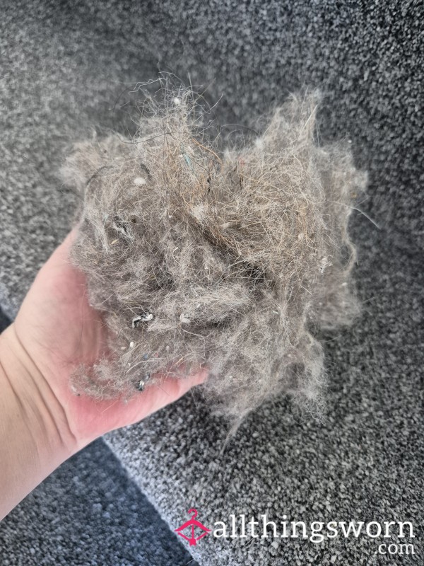 Stair Carpet Fluff And Dirt