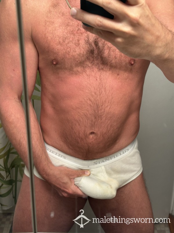 Stanfield’s Briefs