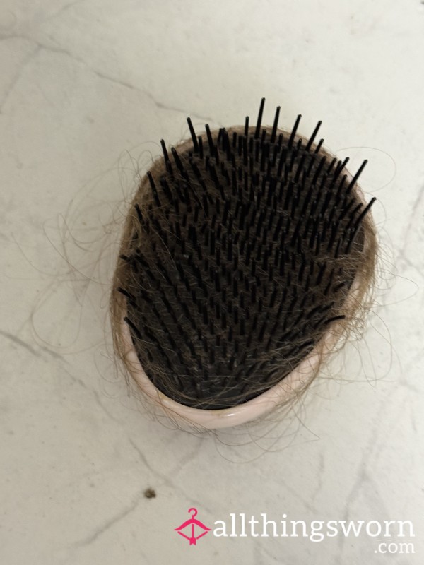 Sta**i’s Personal Hair Brush- From My Daily Routine