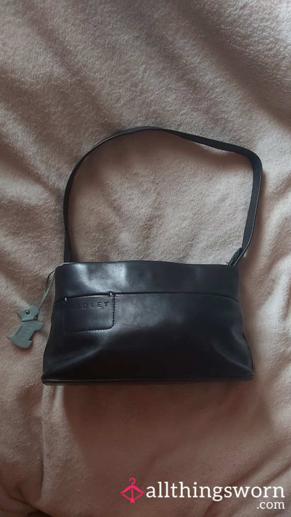 Steal My Radley Purse