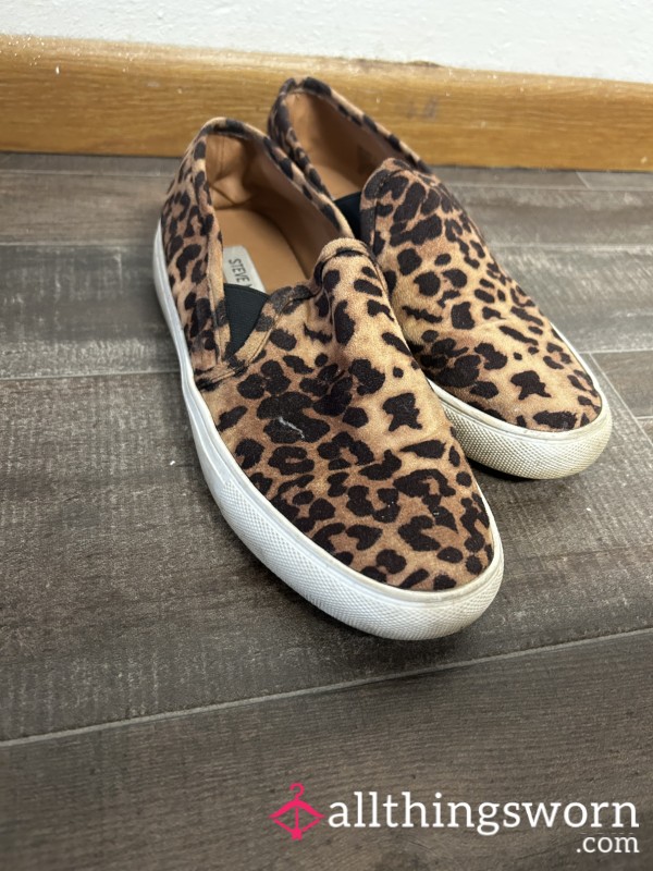 Steve Madden Leopard Print Flats! 🐆