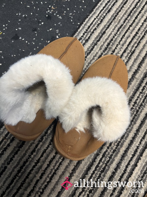 Stinky Cheesy Slippers