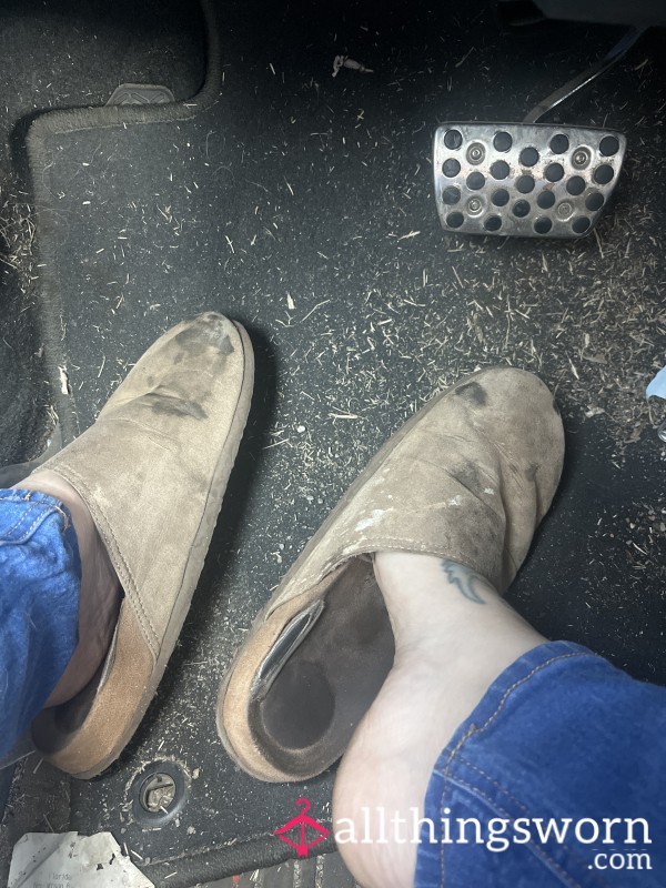 Stinky, Dirty, Shoes