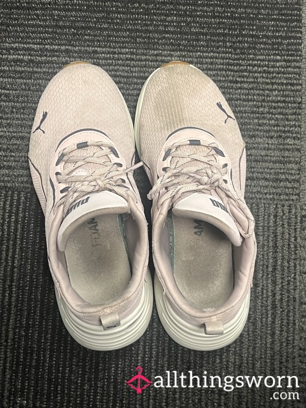 Stinky Gym Pumas