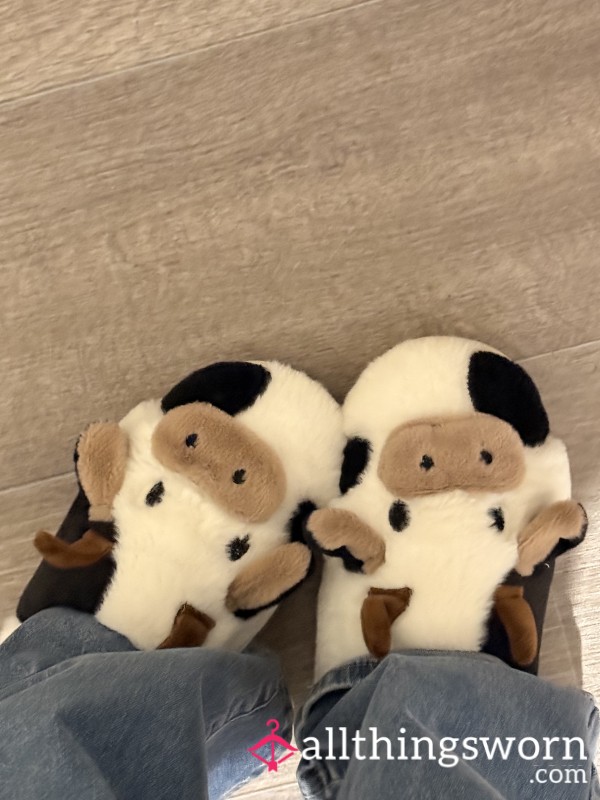 Stinky House Slippers