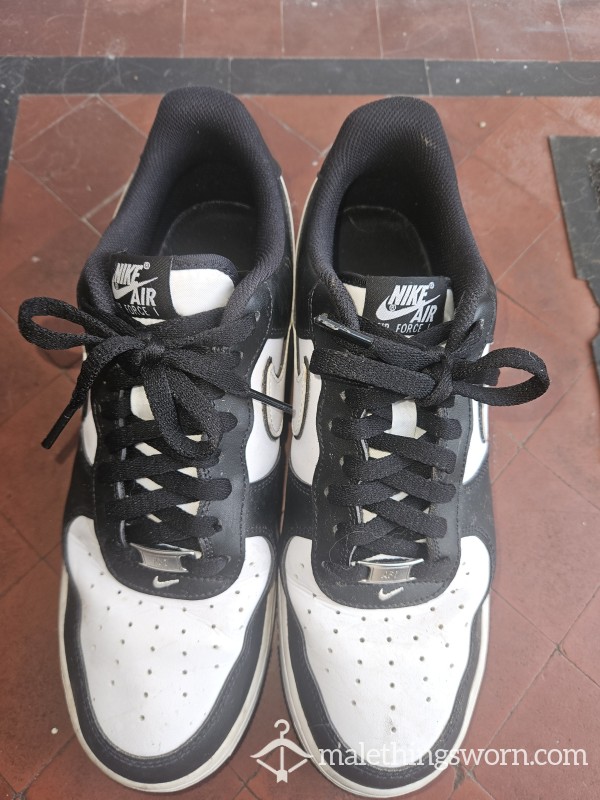 Stinky Nike Panda Dunks