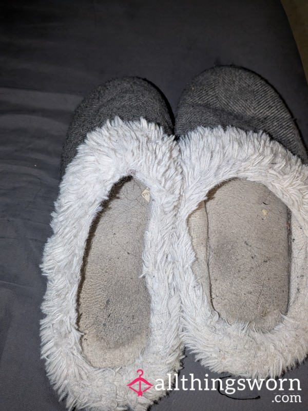 Stinky Old Slippers