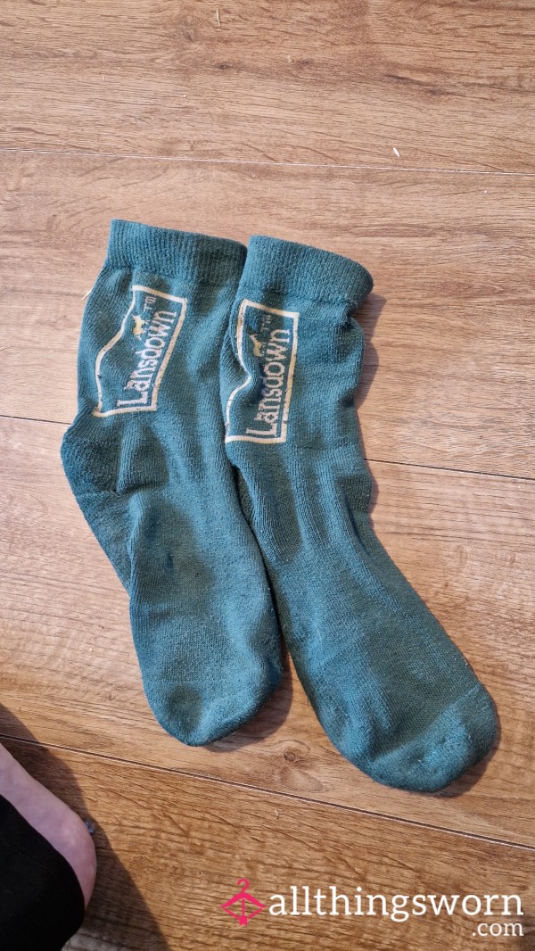 Stinky Old, Very Well Worn Socks