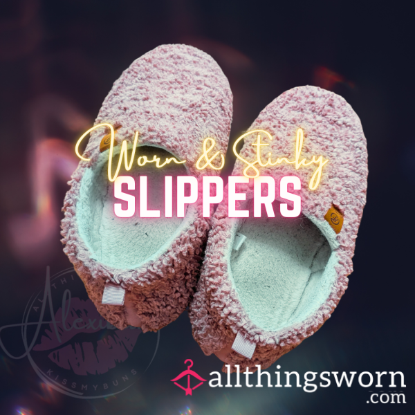 Stinky Slippers Worn Daily For 3 Months
