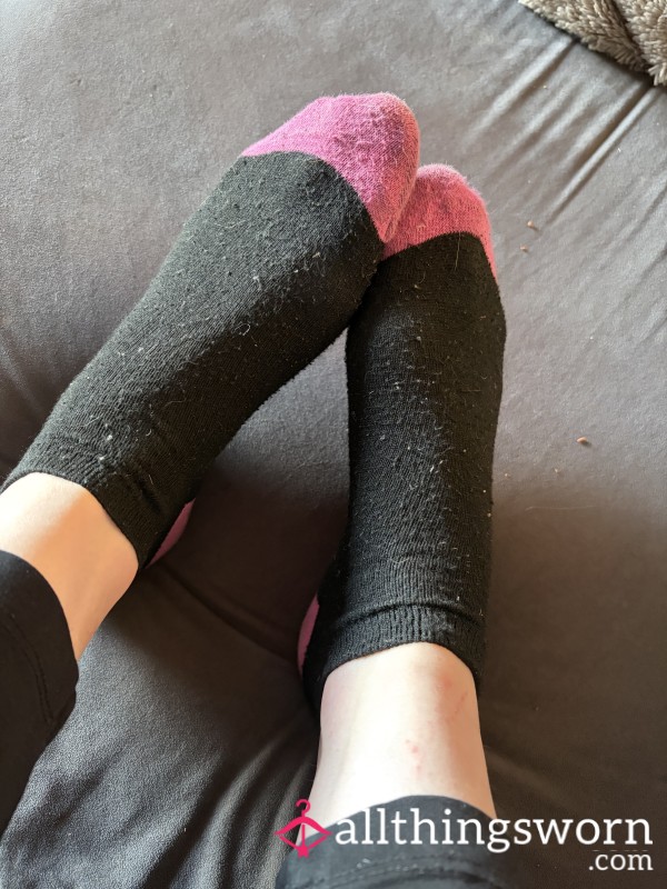 Stinky Socks