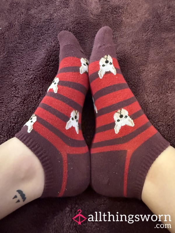 Stinky Striped Dog Socks🐶