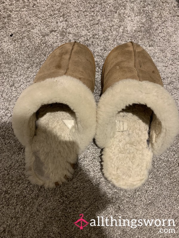 Stinky Used Slippers