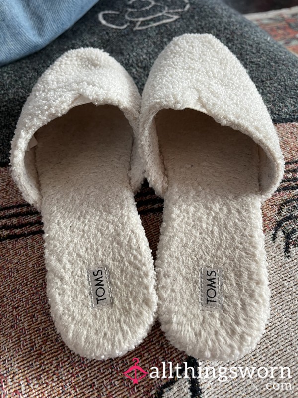 Stinky Worn Toms Slippers