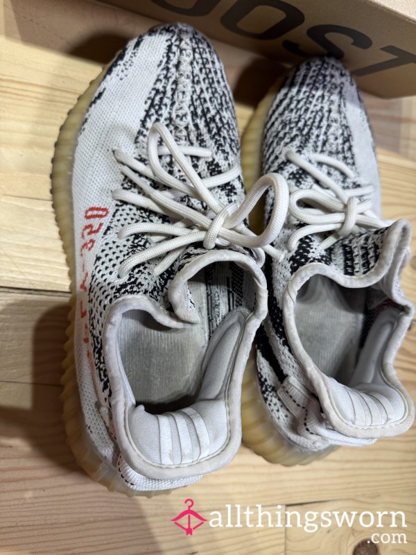 Stinky Yeezy Zebra Trainers