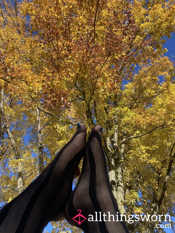 Stockings Sweetheart