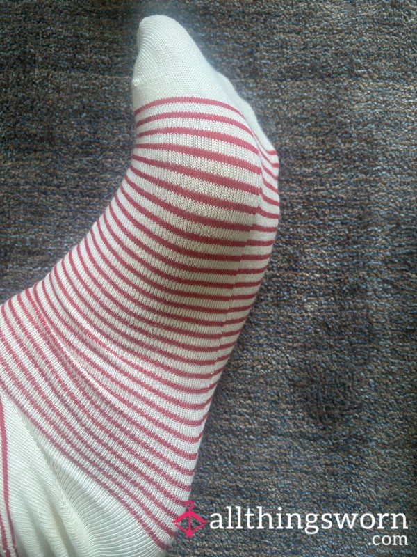 Cotton Socks - 2 Day Wear