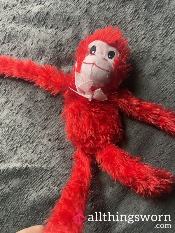 Stuffed Plushie