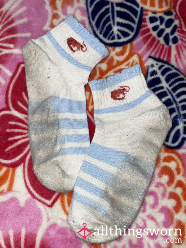 Summer 🦞 Socks