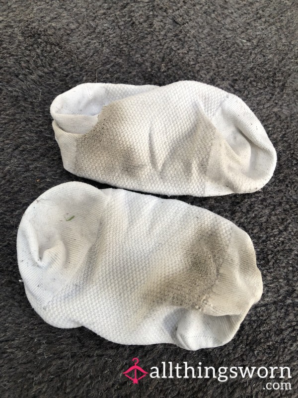 Super Stinky Trainer Socks