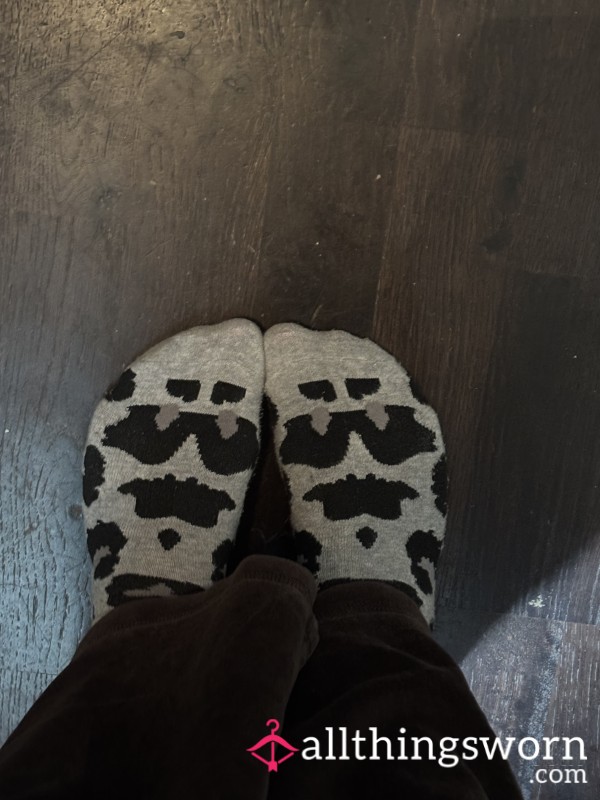 Super Sweaty Used Socks
