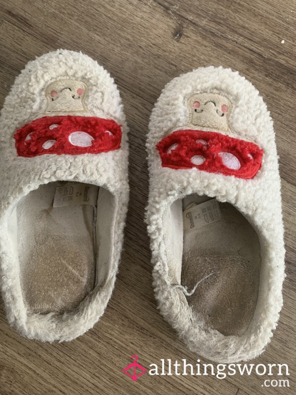 Super Worn Slippers