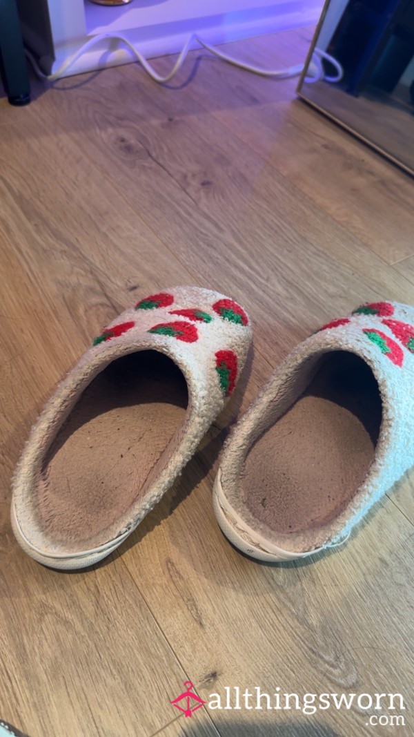 Suuuuper Worn In Slippers