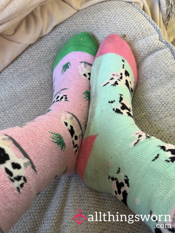 Sweaty Cow Socks