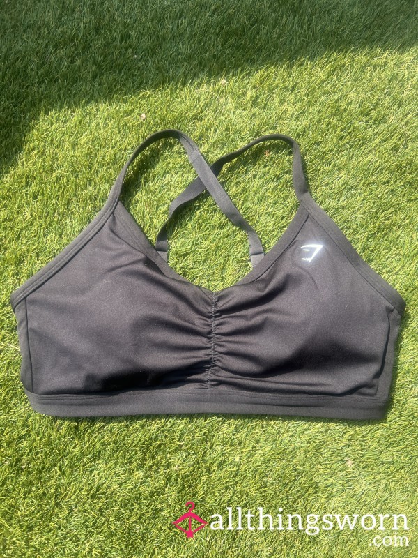 Sweaty Gym Shark Sports Bra