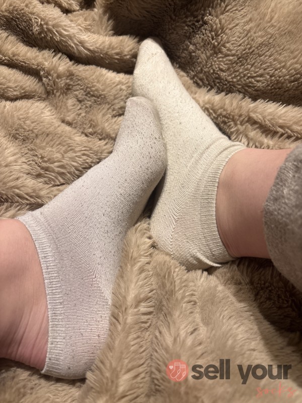 Sweaty Gym Socks Ready For Their Forever Home