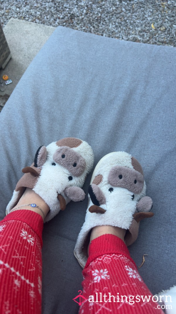 Sweaty Slippers