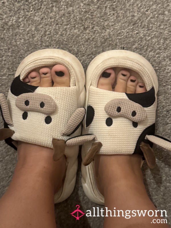 Sweaty Slippers Dirty Feet