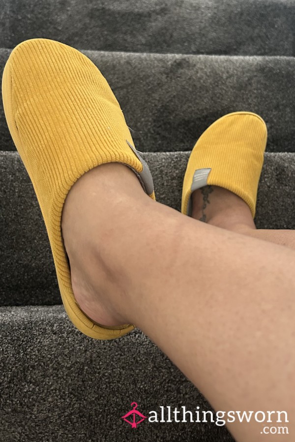 Daily Worn Slippers Filled With All Your Dripping Needs