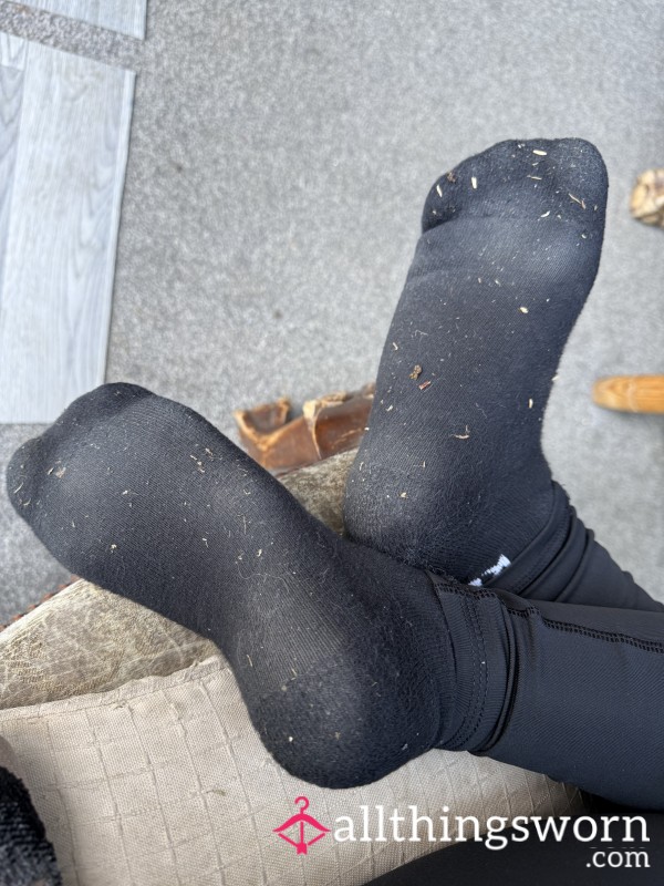 Sweaty Socks