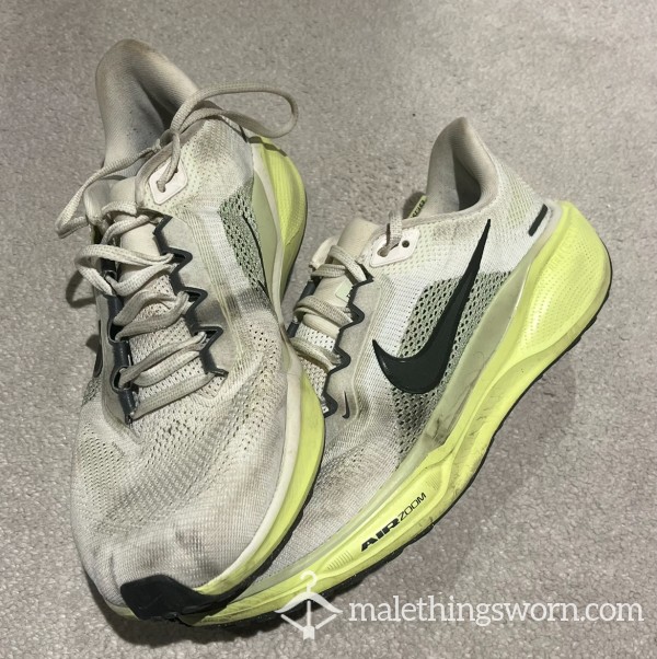 Sweaty Spinner Nike Pegasus Trainers