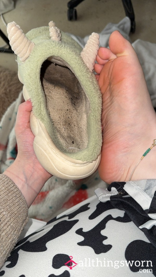 Sweaty Stinky Slippers!