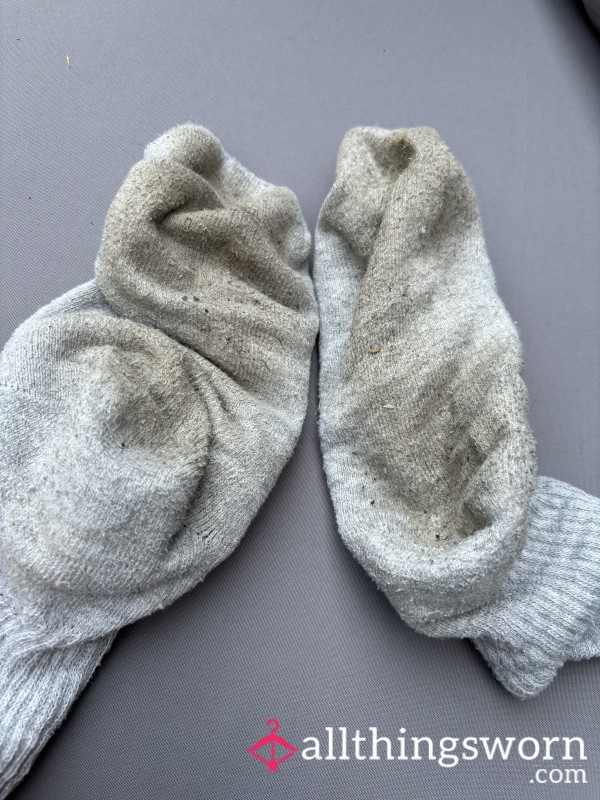 Sweaty Worn Socks