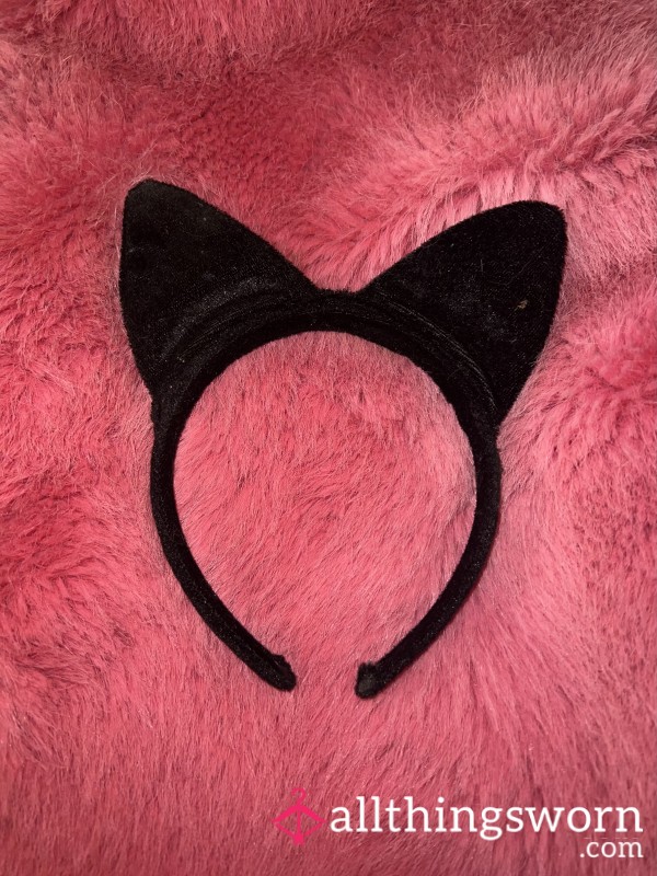 Worn Velvet Kitty Ears For Soft, Devoted Pets – Includes X1 Task 🐾