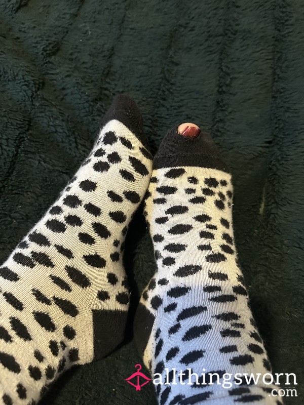 Sweet Sherry’s Worn Socks - 1 Days Wear