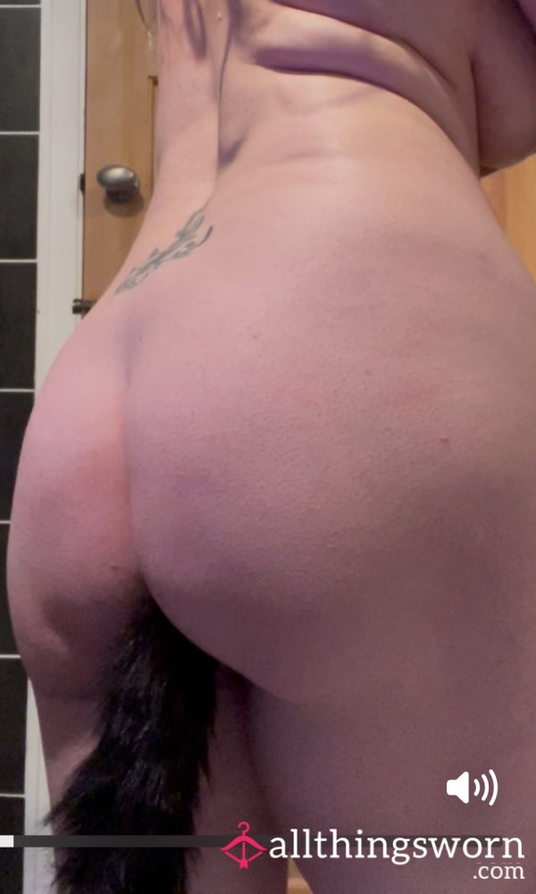 Tail Bu*t Plug Play & Pu**y Rub 🍑😽