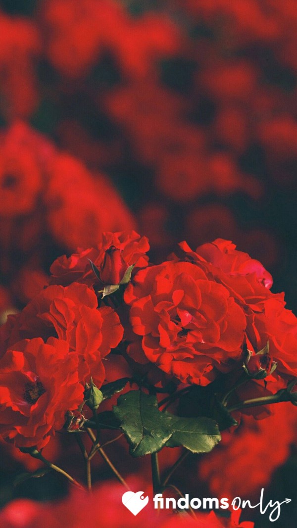 Tap Into My World 💦