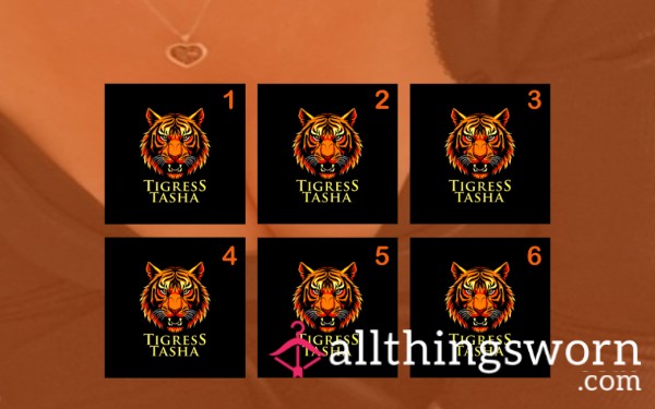 Tasha's Pairs 🐅