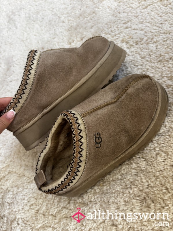 Tasman Uggs
