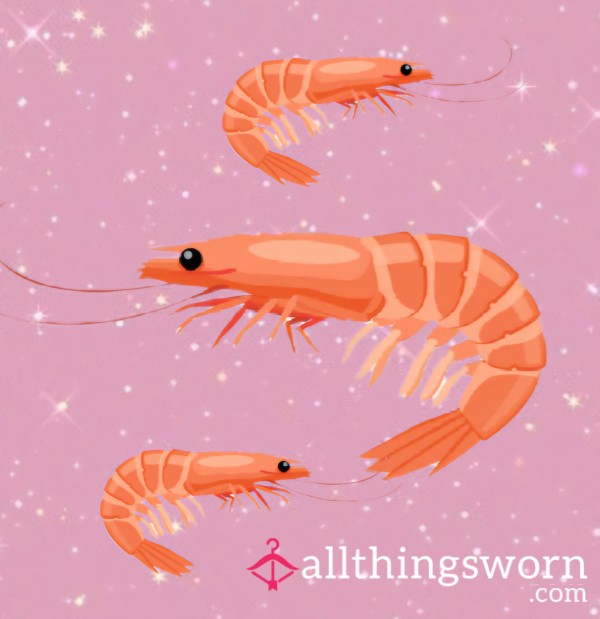 Tax Time Shrimpy 🦐