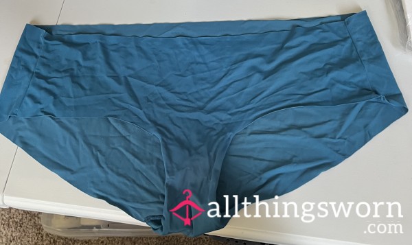 Teal And Silky Panties