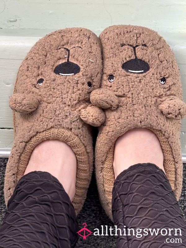 🟡Teddy Bear Slippers