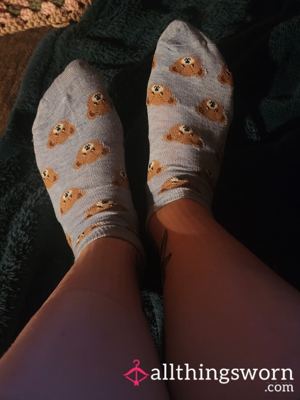 Teddy Bear Socks