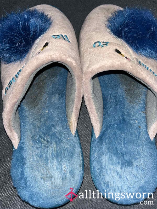 The Aroma Of Daily Pleasure