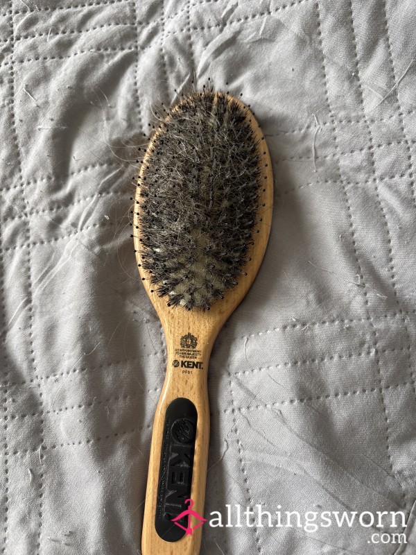 The Contents Of My Hairbrush