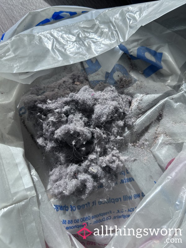 🧹 The Dirty Truth – Contents Of My Vacuum Cleaner 💨