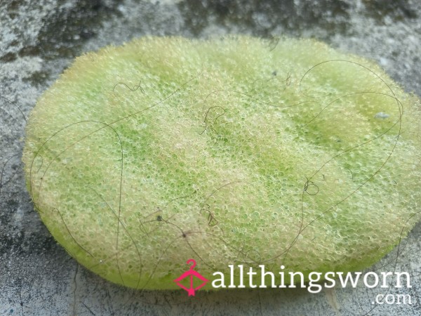 🧽 THE ESSENCE OF ME: MY USED BATH SPONGE 🧽